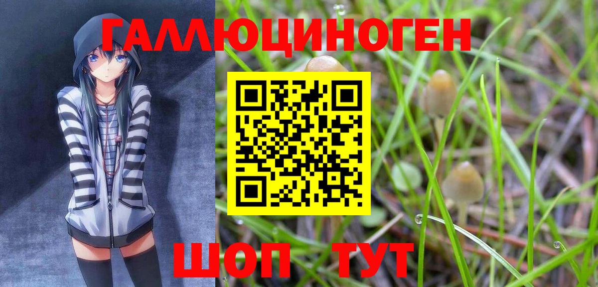 Псилоцибиновые грибы Cubensis  Вход с VPN  где купить наркоту  Галлюциногенные грибы ЛСД  Большой Камень 
