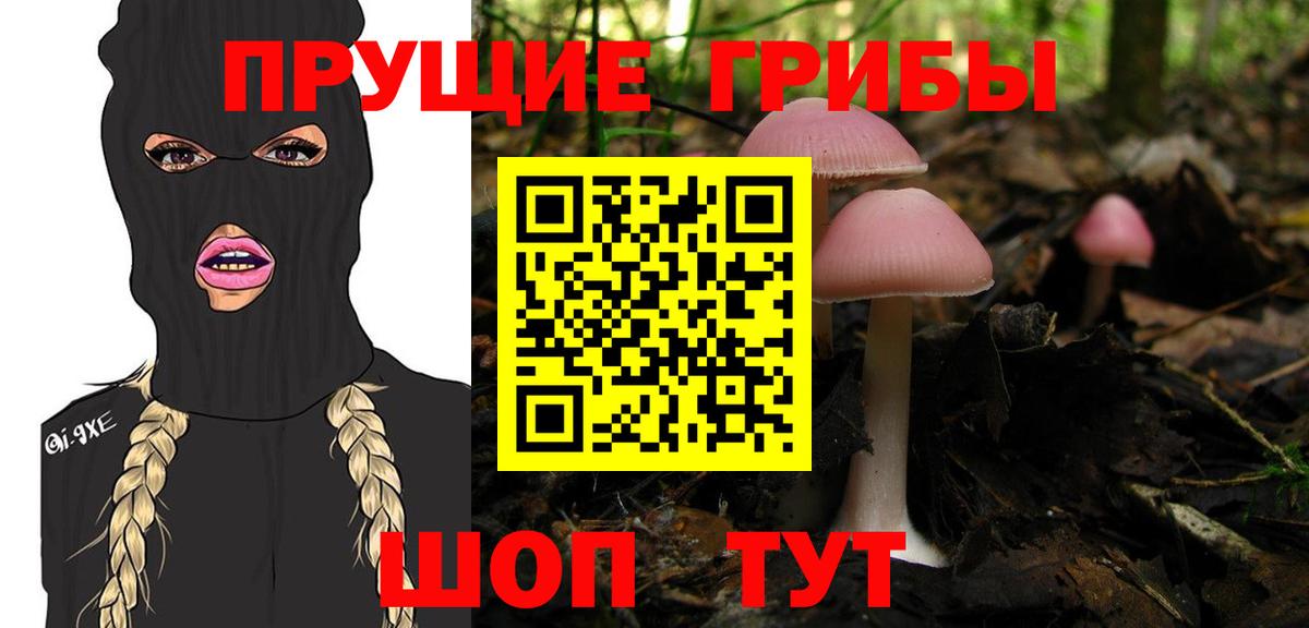 Псилоцибиновые грибы Cubensis Большой Камень